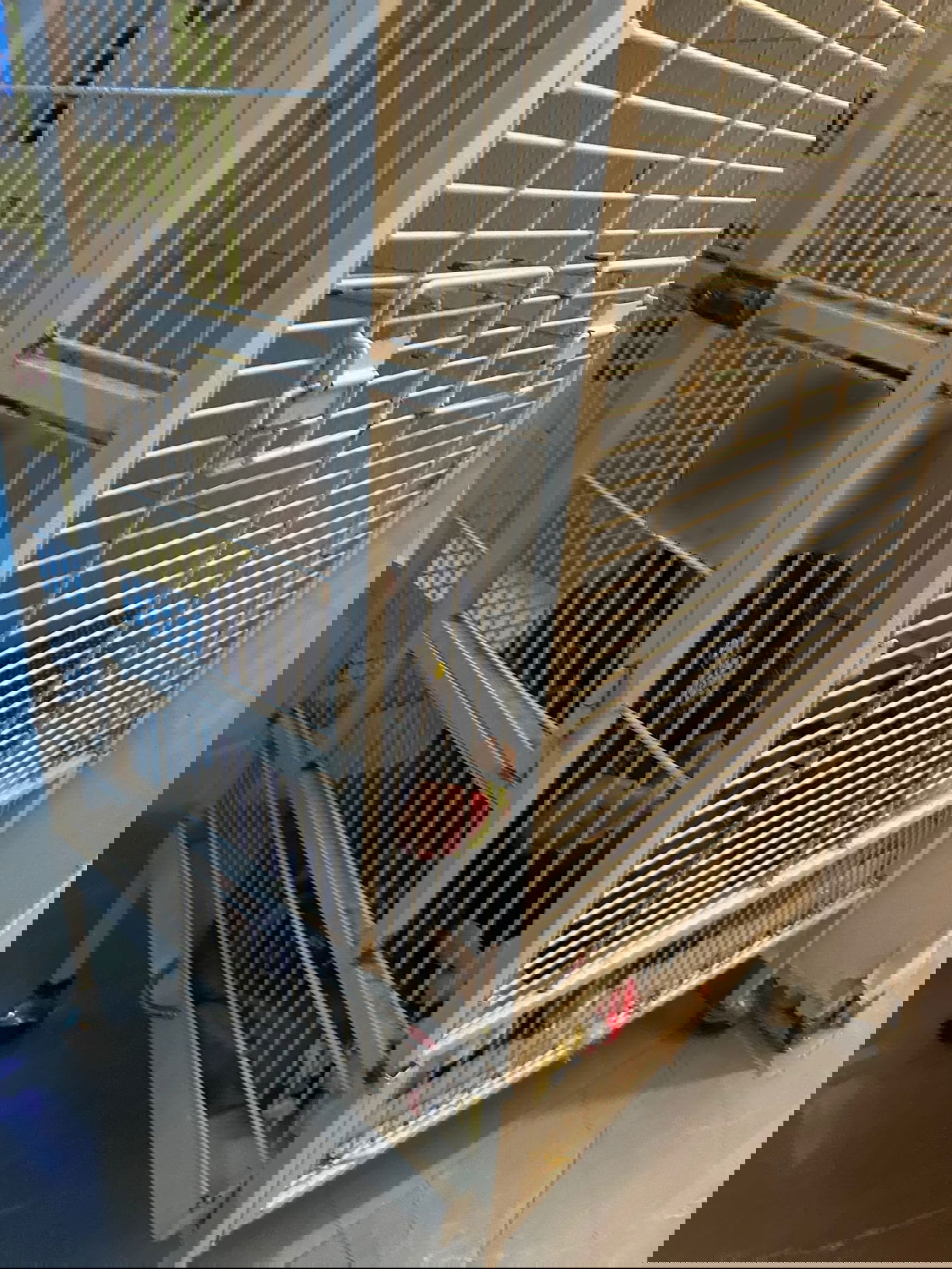 המשפחה טוענת: "הילד שהיה בכלוב, מופרע ולא מבין כלום"