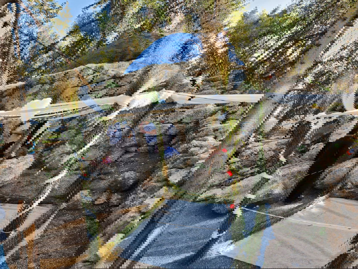 הפתעה בקבר מתתיהו - חתונה; "דווקא פה מתאים להתחתן" | תיעוד