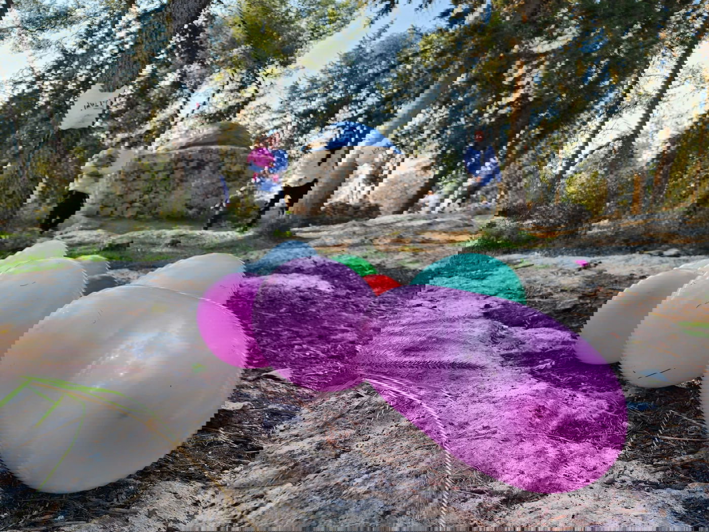 הפתעה בקבר מתתיהו - חתונה; "דווקא פה מתאים להתחתן" | תיעוד