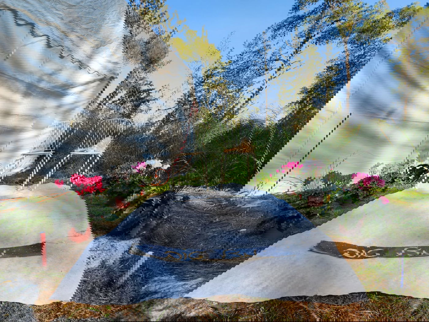 הפתעה בקבר מתתיהו - חתונה; "דווקא פה מתאים להתחתן" | תיעוד