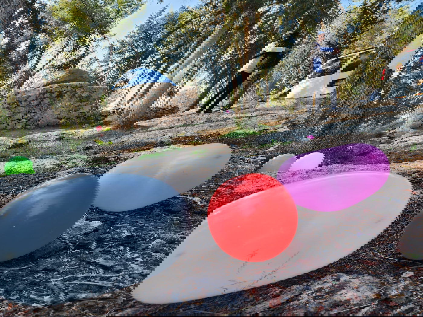 הפתעה בקבר מתתיהו - חתונה; "דווקא פה מתאים להתחתן" | תיעוד