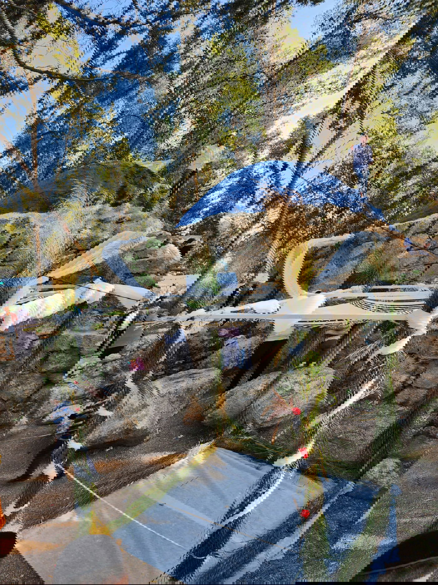 הפתעה בקבר מתתיהו - חתונה; "דווקא פה מתאים להתחתן" | תיעוד