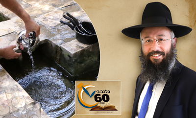 הטביל כלי עם מדבקה - האם זה מעכב? • צפו