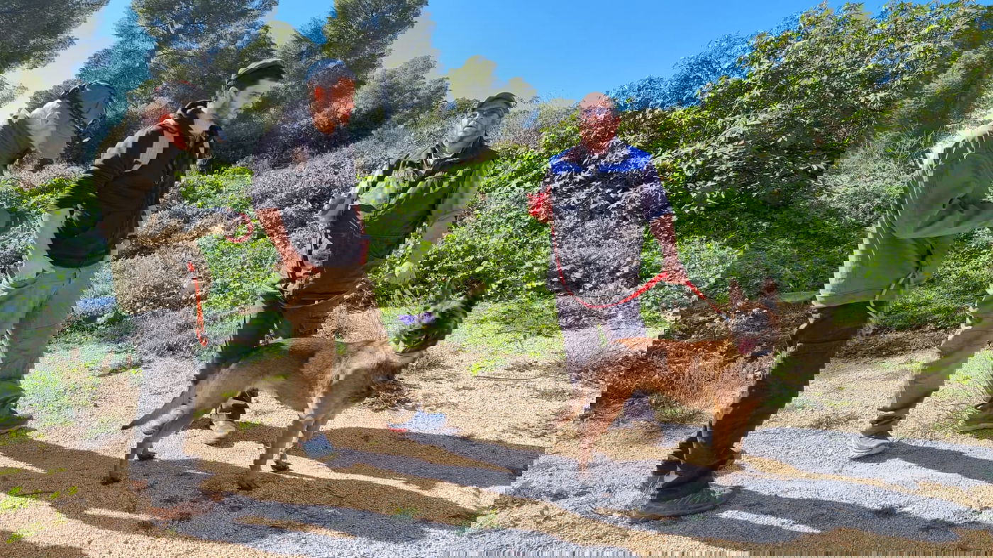 החיפושים אחרי מוישי קליינרמן נמשכים; "לא מתייאשים" • צפו