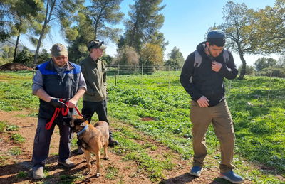 החיפושים אחר מוישי