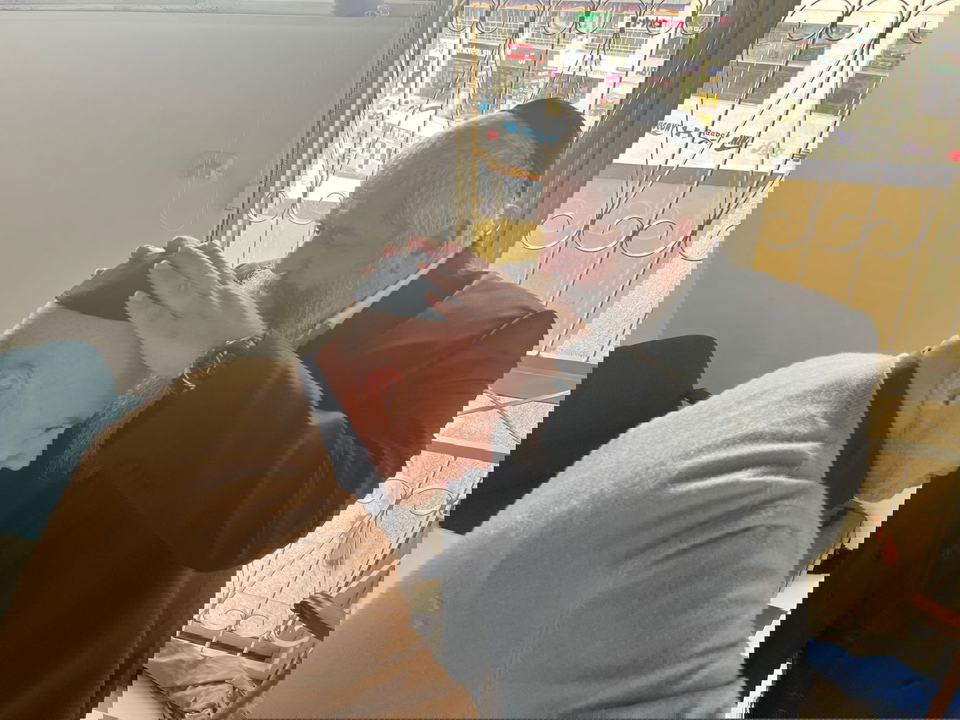 זופניק בכיכר • כל התמונות והנייעס של השבוע