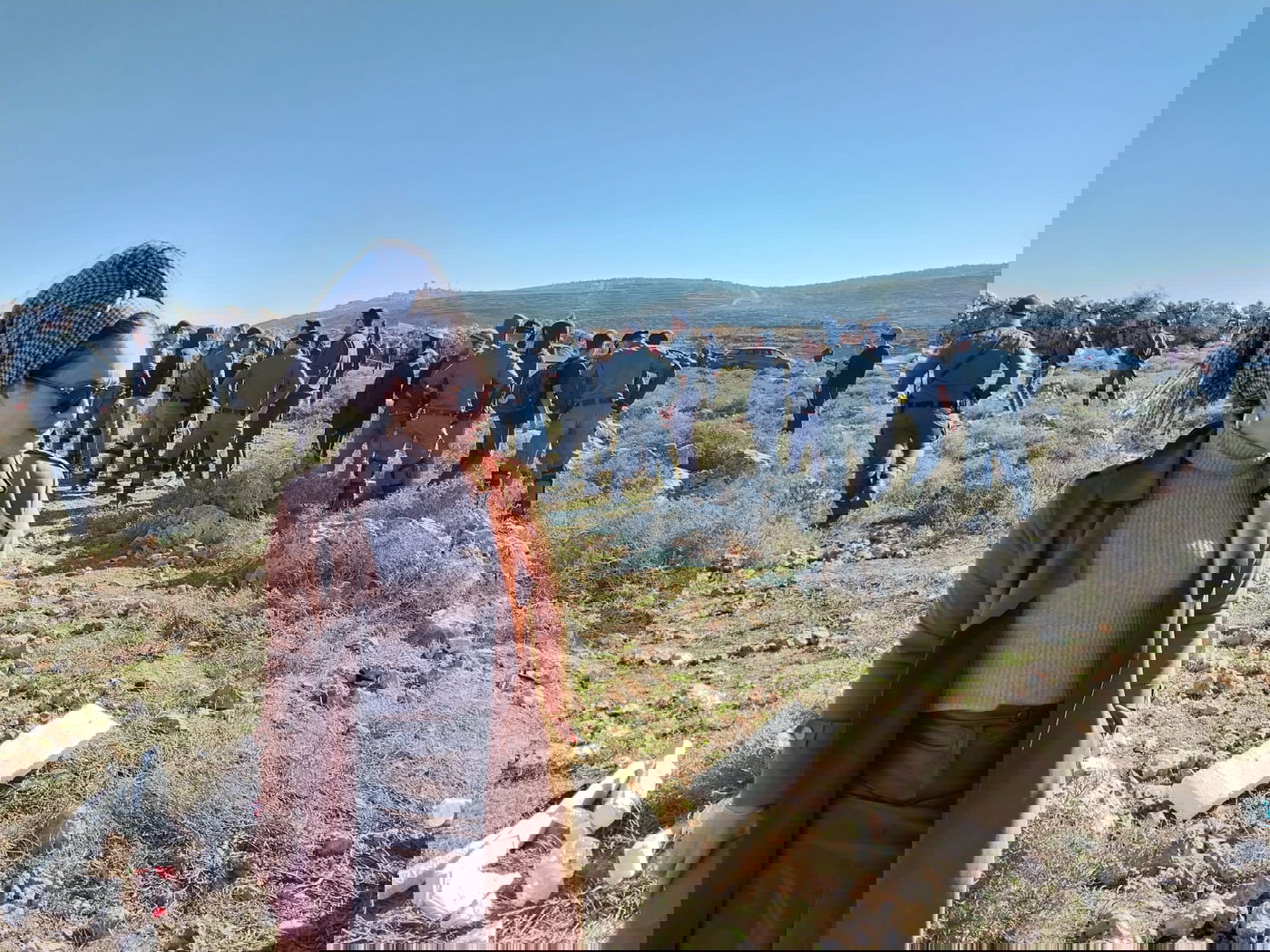 ח"כ הר מלך | ארכיון