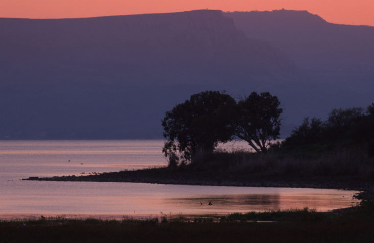 הכינרת לא עולה; פתיחת השנה הגרועה ביותר ב-50 השנים