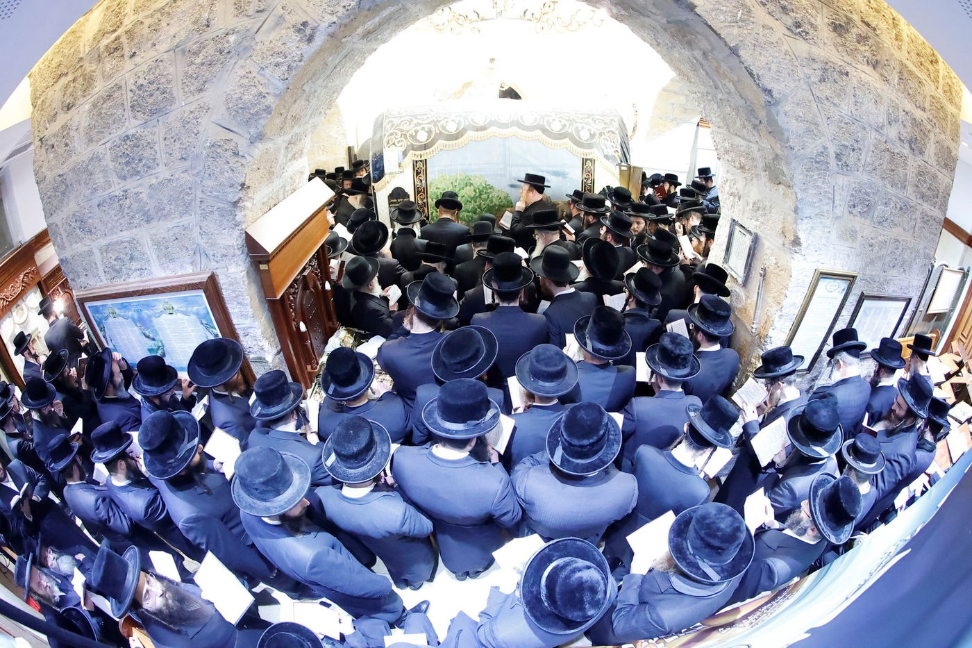 צפו בתיעוד: בדושינסקיא הוקירו את תומכי המוסדות