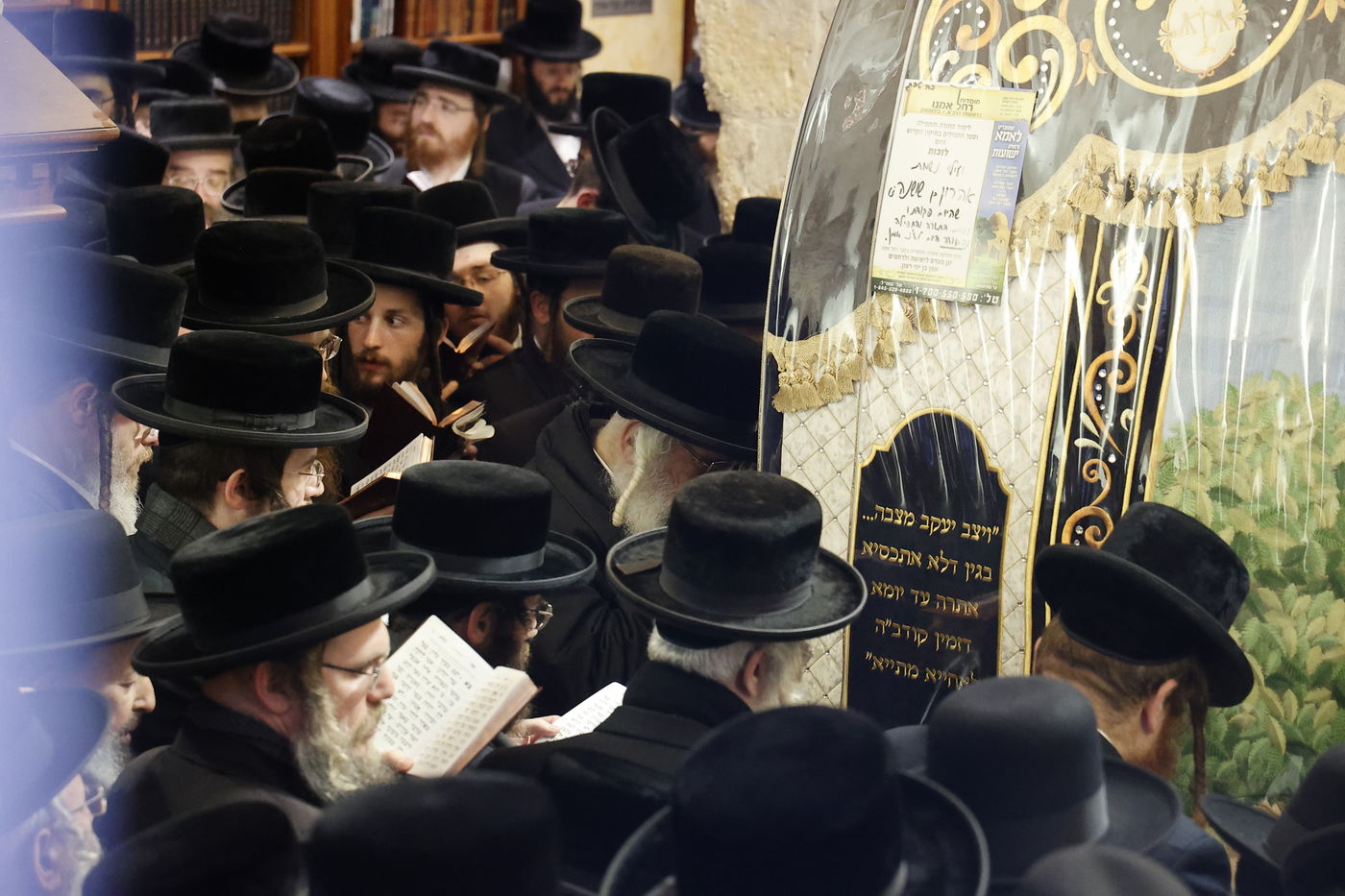 צפו בתיעוד: בדושינסקיא הוקירו את תומכי המוסדות