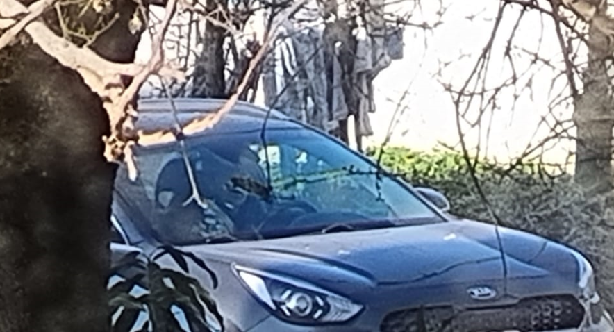 התמונה שצירף ואטורי