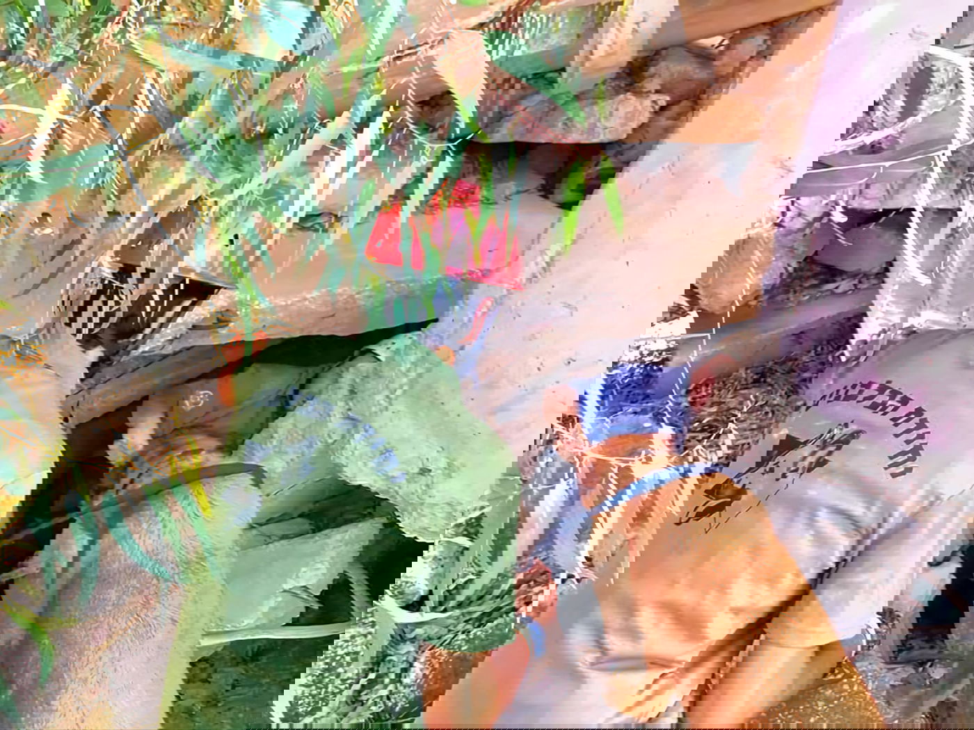 הכלבים הריחו את ה"נעדרים" מתחת להריסות