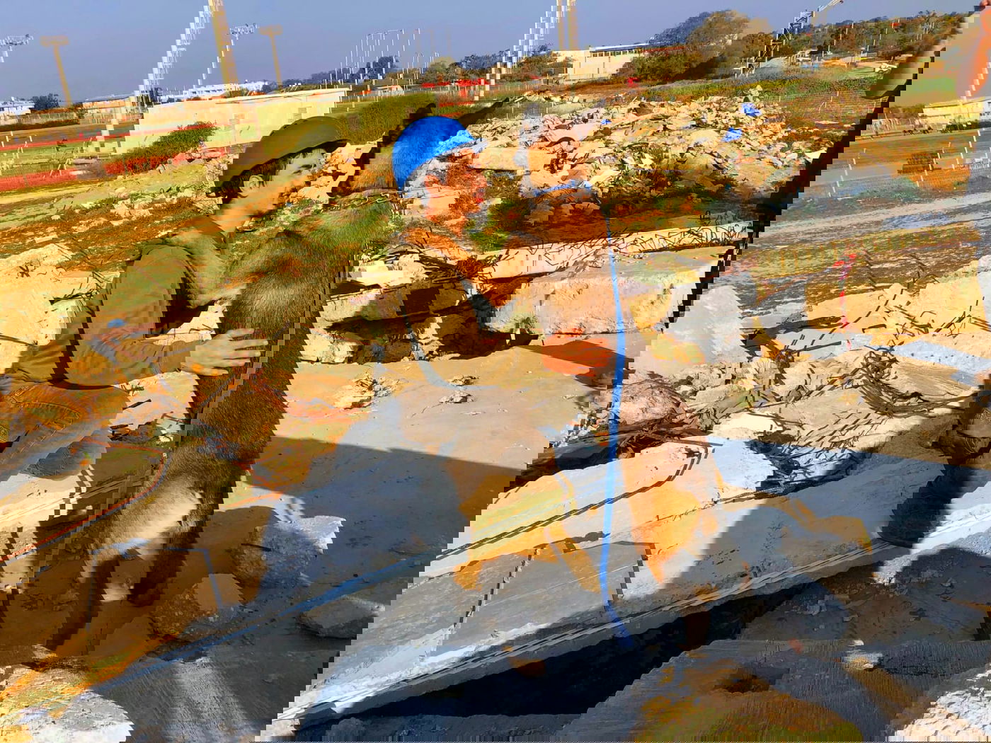 הכלבים הריחו את ה"נעדרים" מתחת להריסות