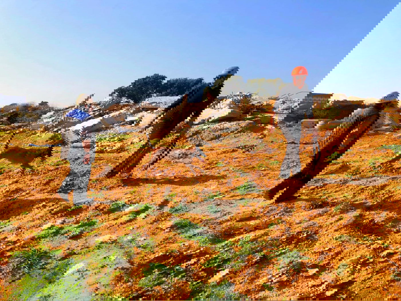 הכלבים הריחו את ה"נעדרים" מתחת להריסות