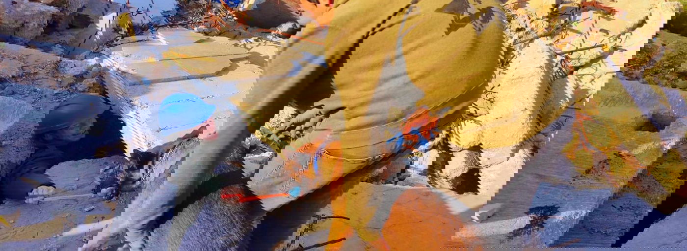 הכלבים הריחו את ה"נעדרים" מתחת להריסות