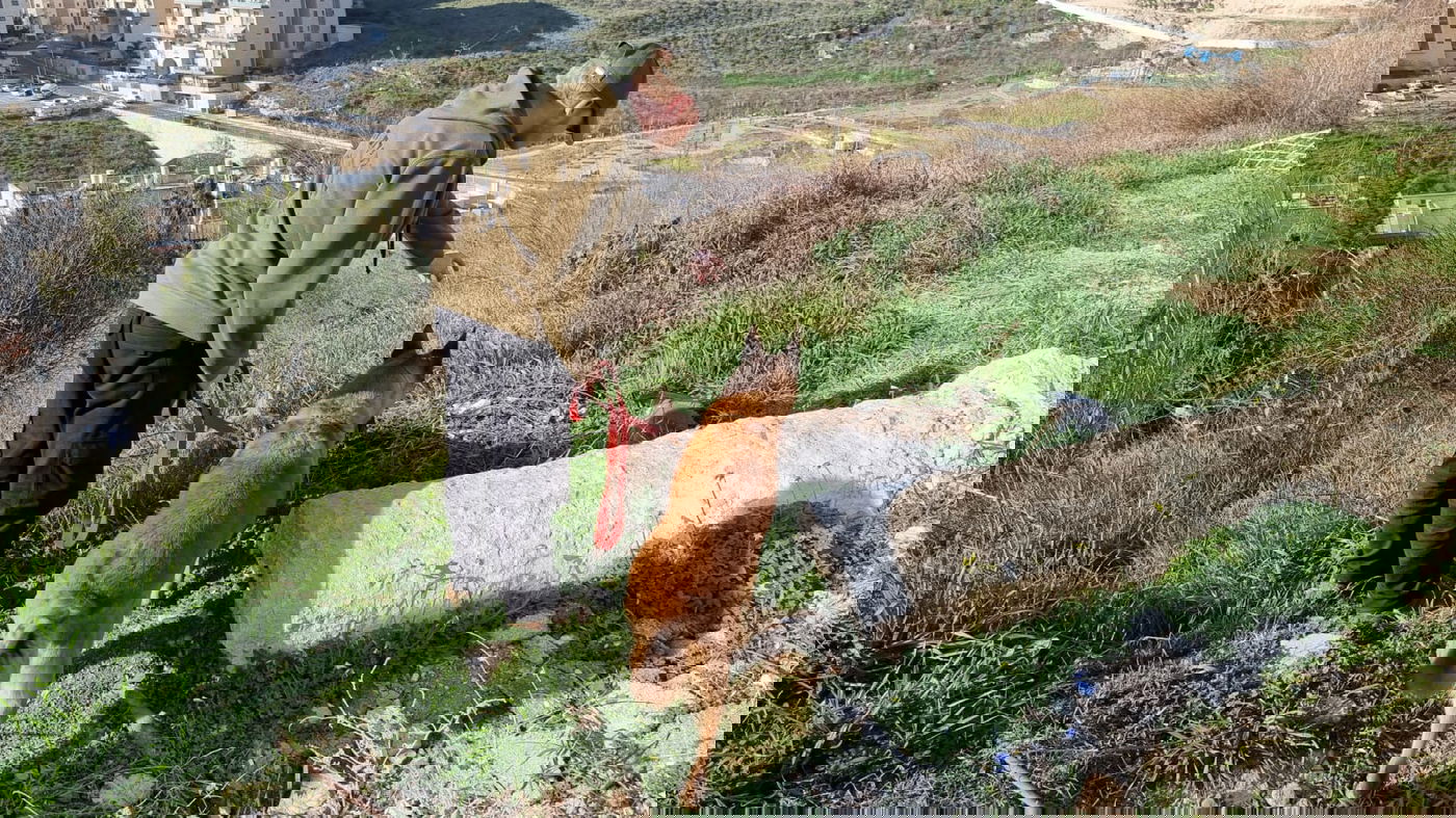 "אני כל כך מתרגשת": המבוגרת החרדית אותרה בשלום