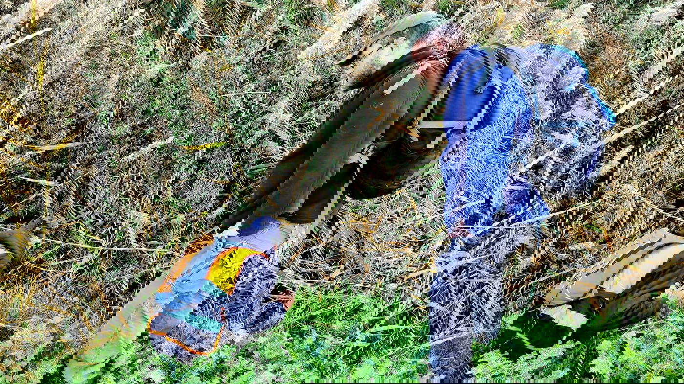 חיפוש אחר נעדרים במירון, אילוסטרציה