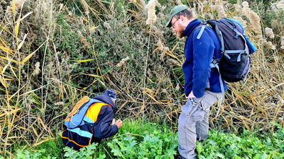 חיפוש אחר נעדרים במירון, אילוסטרציה