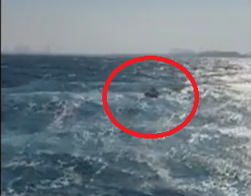 כך חילצו גולש רוח שנשבר לו הגלשן והתנתק מהמפרש