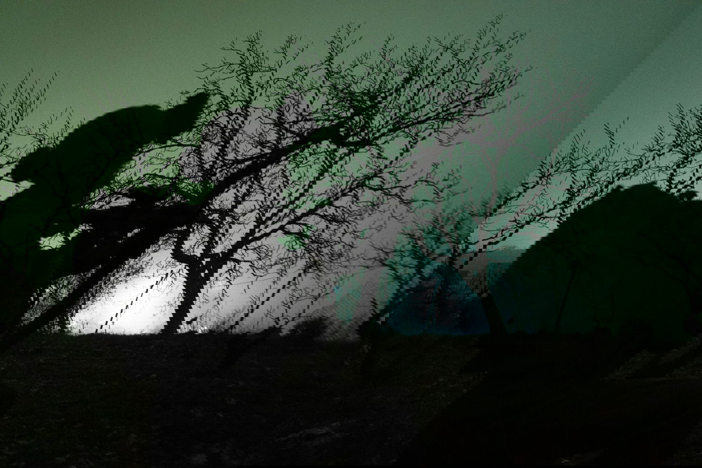 שלושה מבוקשים נעצרו; אחד נתפס עם אקדח • תיעוד