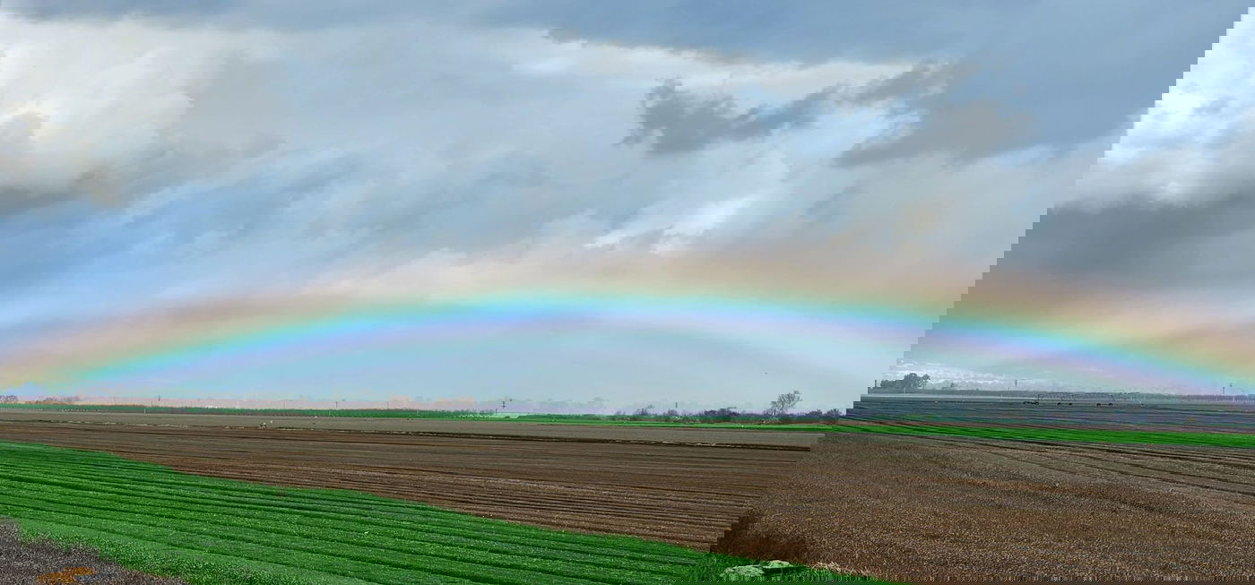 החורף כאן במלוא העוצמה: גשם בכל רחבי הארץ; בחרמון יורד שלג כבד