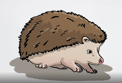 כך מציירים 'קיפוד' • עוד פרק לילדים בתוכנית לומדים לצייר