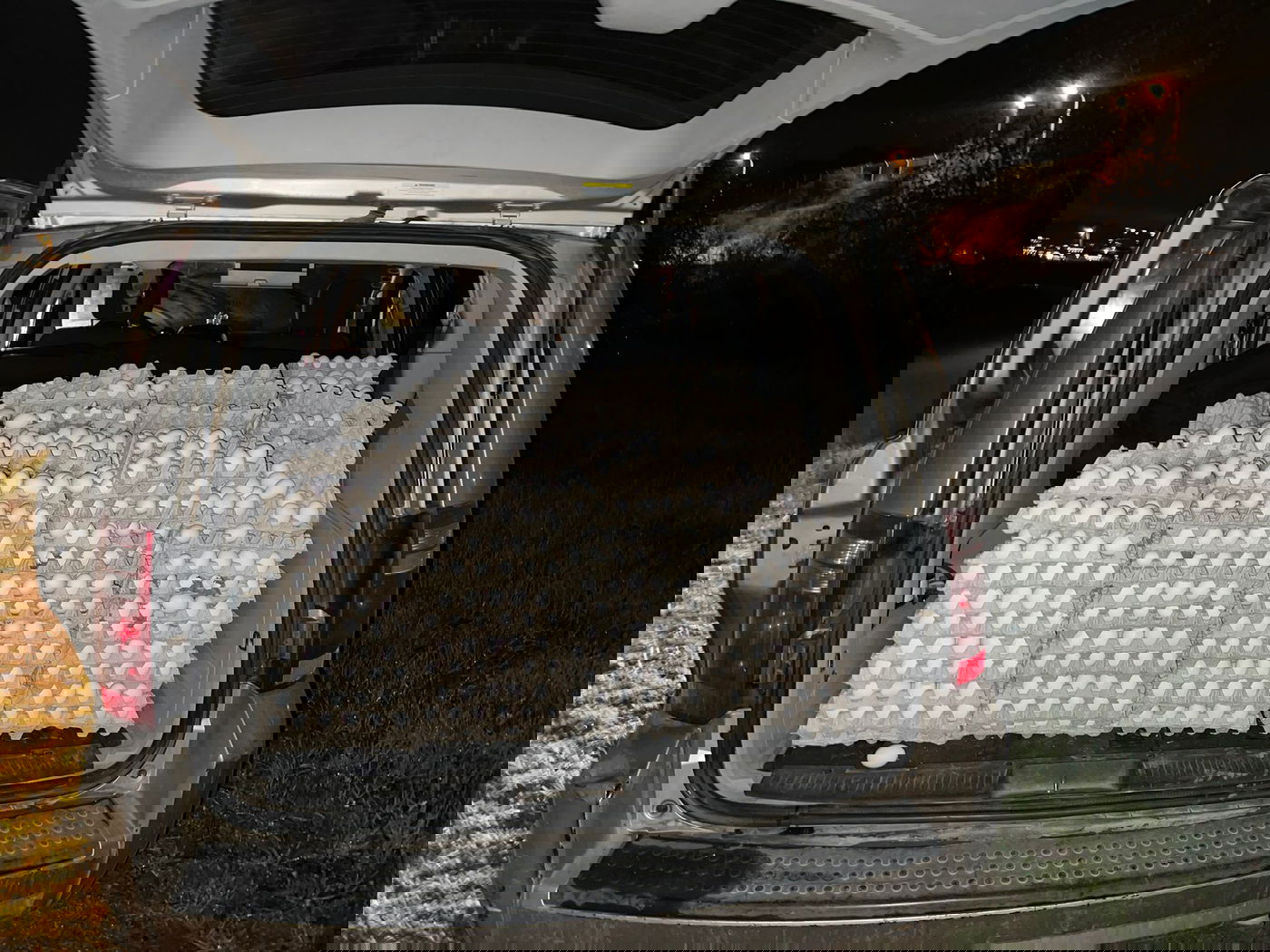 תושב נתיבות נתפס עם 12 אלף ביצים מוברחות