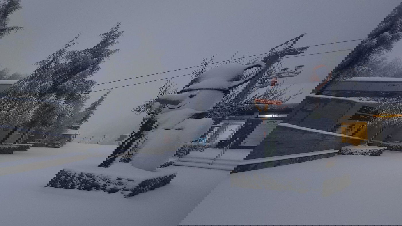 תיעוד קפוא: שלג כבר יורד על הר חרמון • צפו