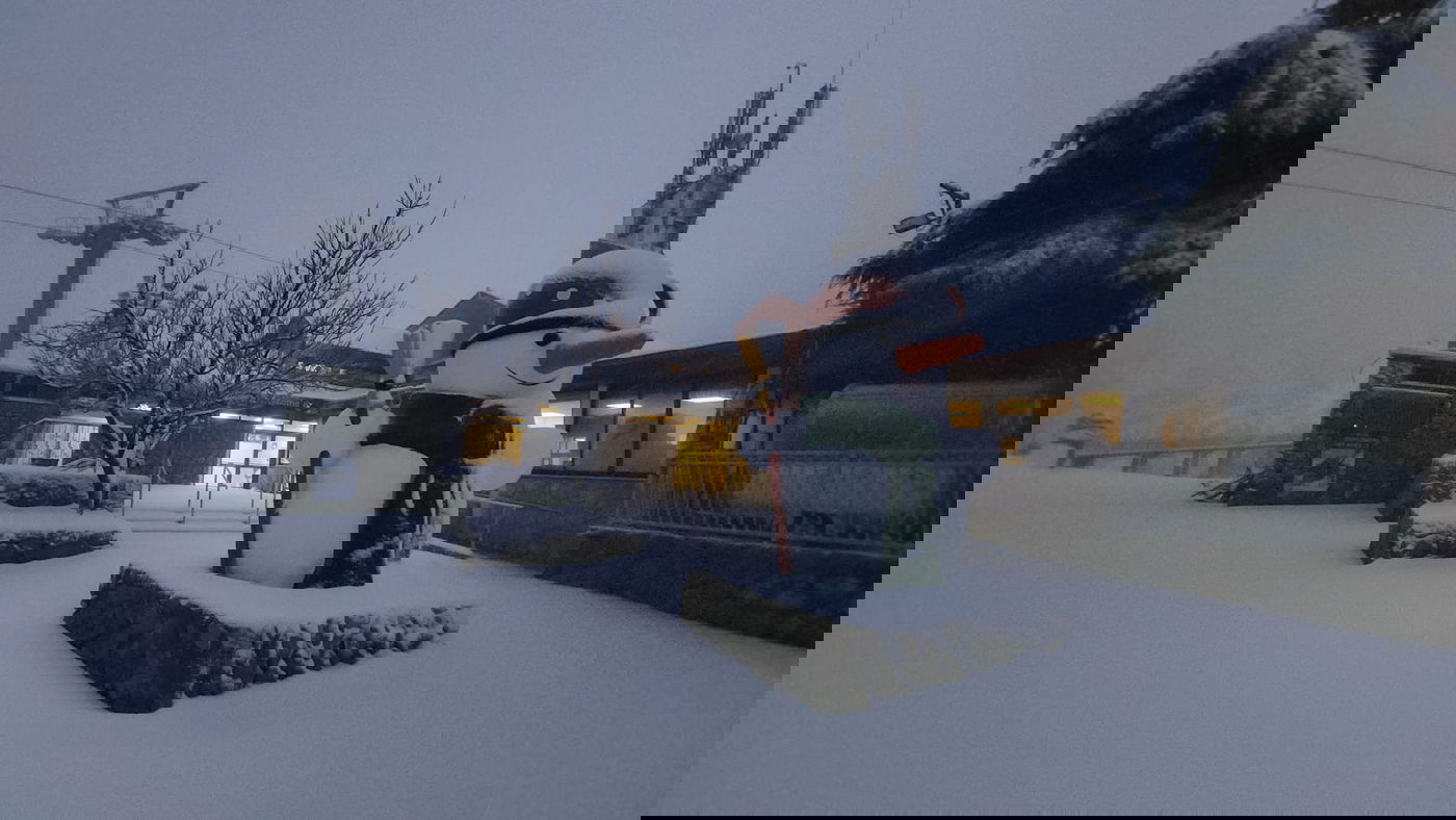 תיעוד קפוא: שלג כבר יורד על הר חרמון • צפו