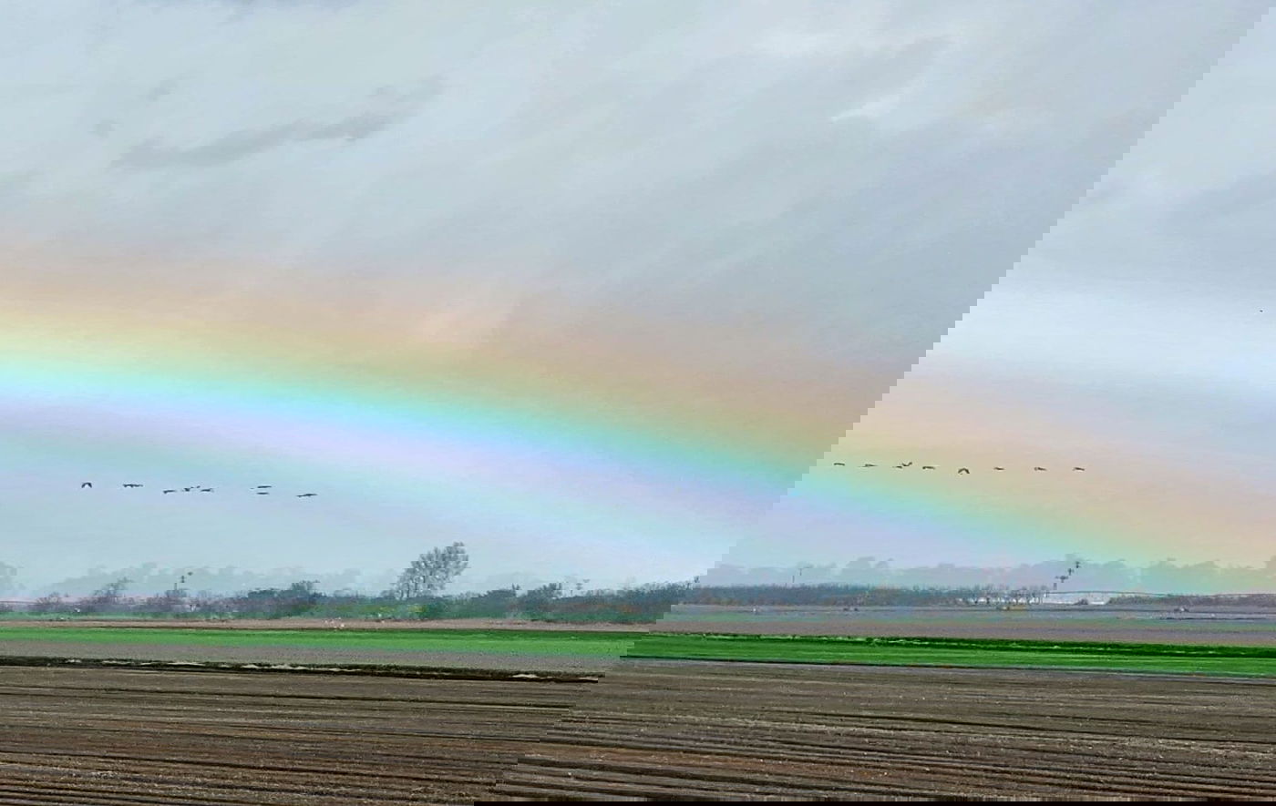 החורף כאן במלוא העוצמה: גשם בכל רחבי הארץ; בחרמון יורד שלג כבד
