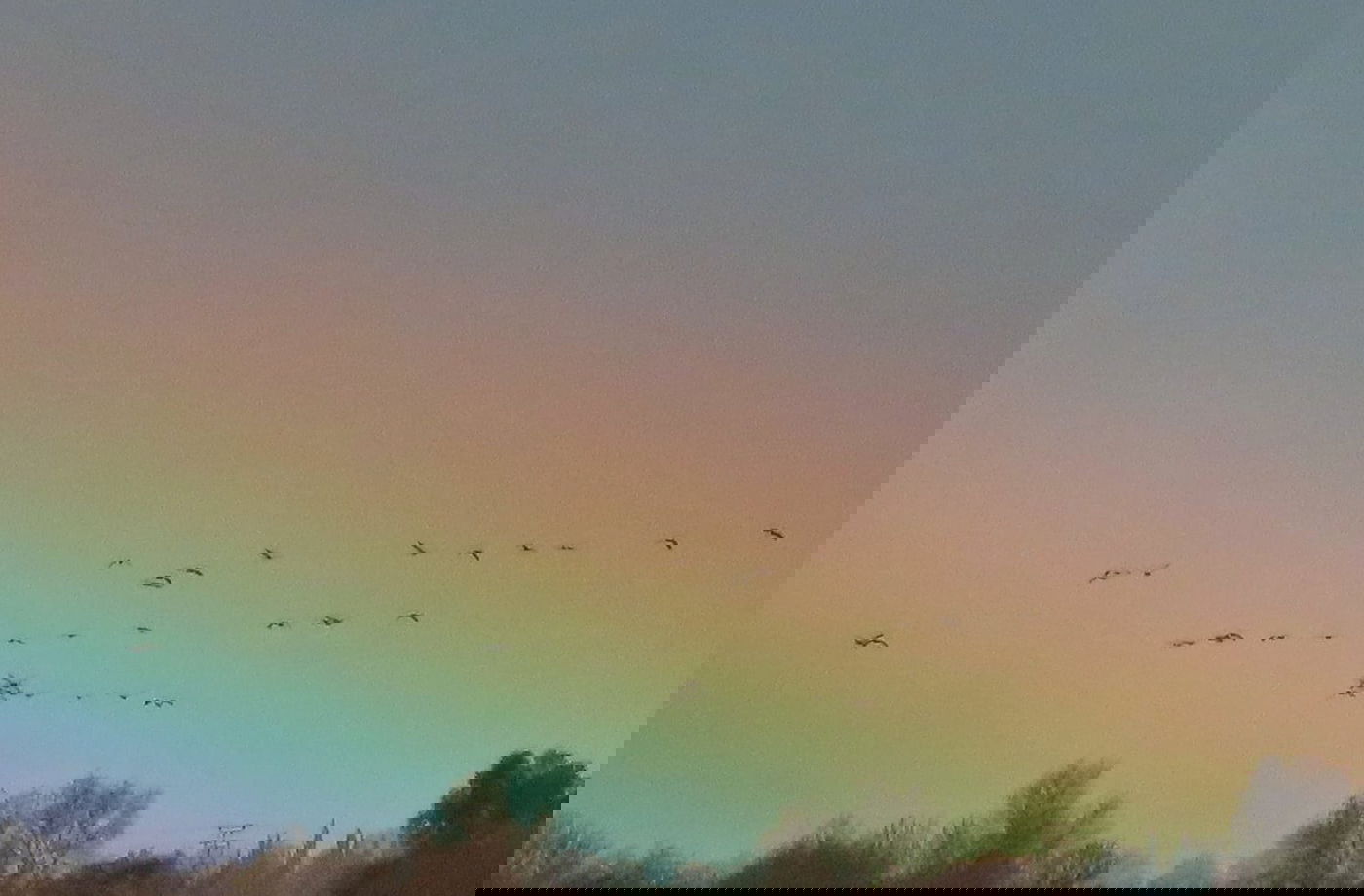 החורף כאן במלוא העוצמה: גשם בכל רחבי הארץ; בחרמון יורד שלג כבד