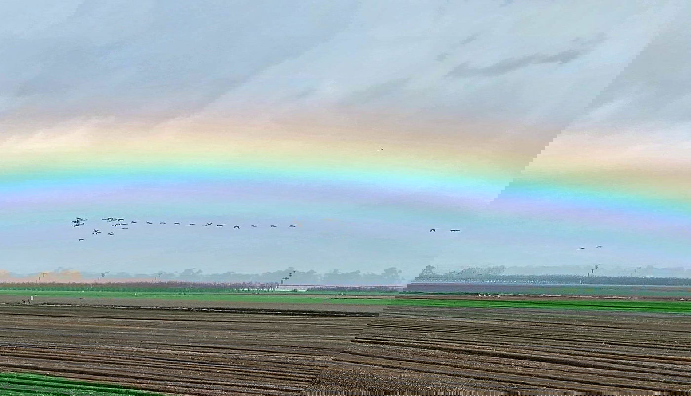 מראה חורפי יפהפה היום ב'אגמון החולה' | צפו בתיעוד