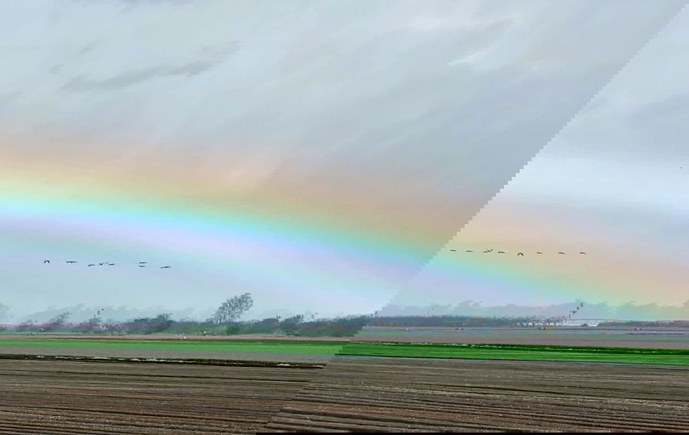מראה חורפי יפהפה היום ב'אגמון החולה' | צפו בתיעוד