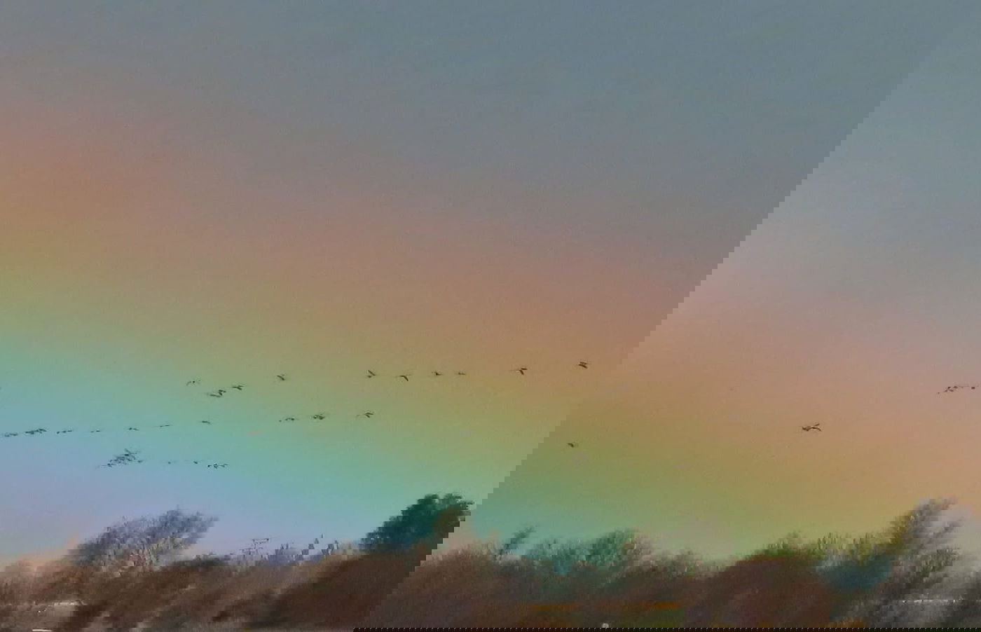 מראה חורפי יפהפה היום ב'אגמון החולה' | צפו בתיעוד