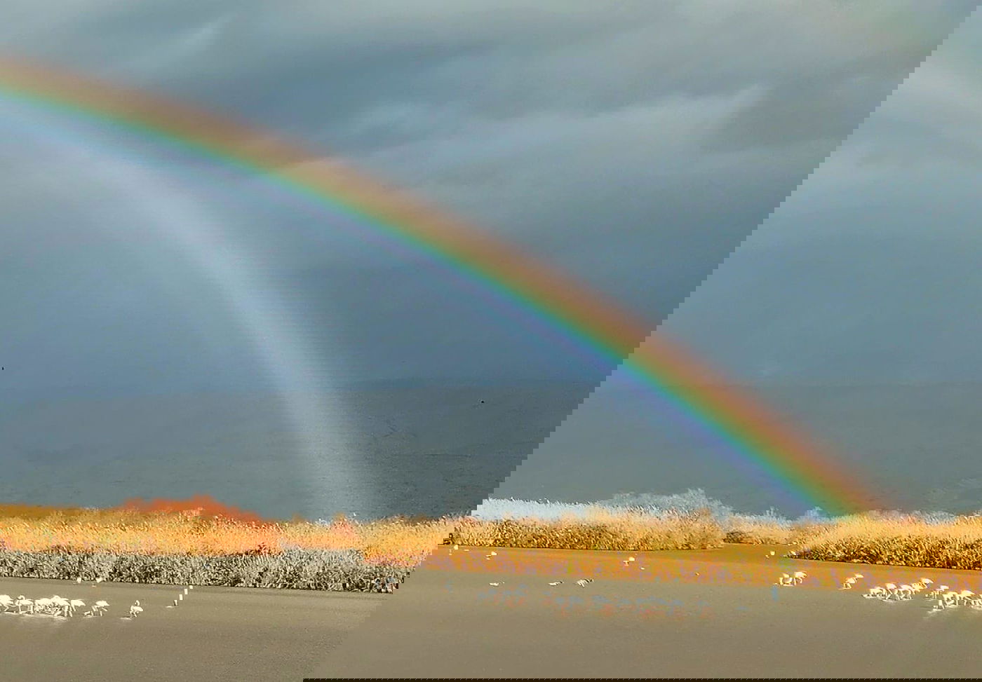 מראה חורפי יפהפה היום ב'אגמון החולה' | צפו בתיעוד