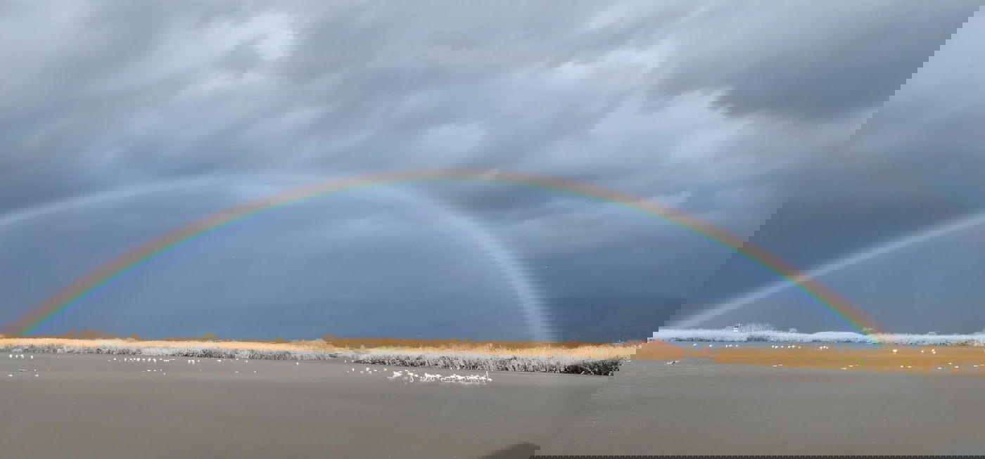 מראה חורפי יפהפה היום ב'אגמון החולה' | צפו בתיעוד