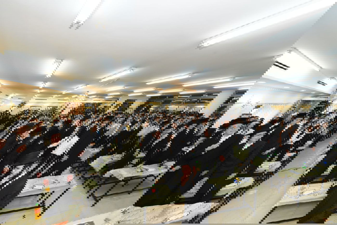 תיעוד סוחף: מעמד כבוד התורה בברסלב בבית שמש