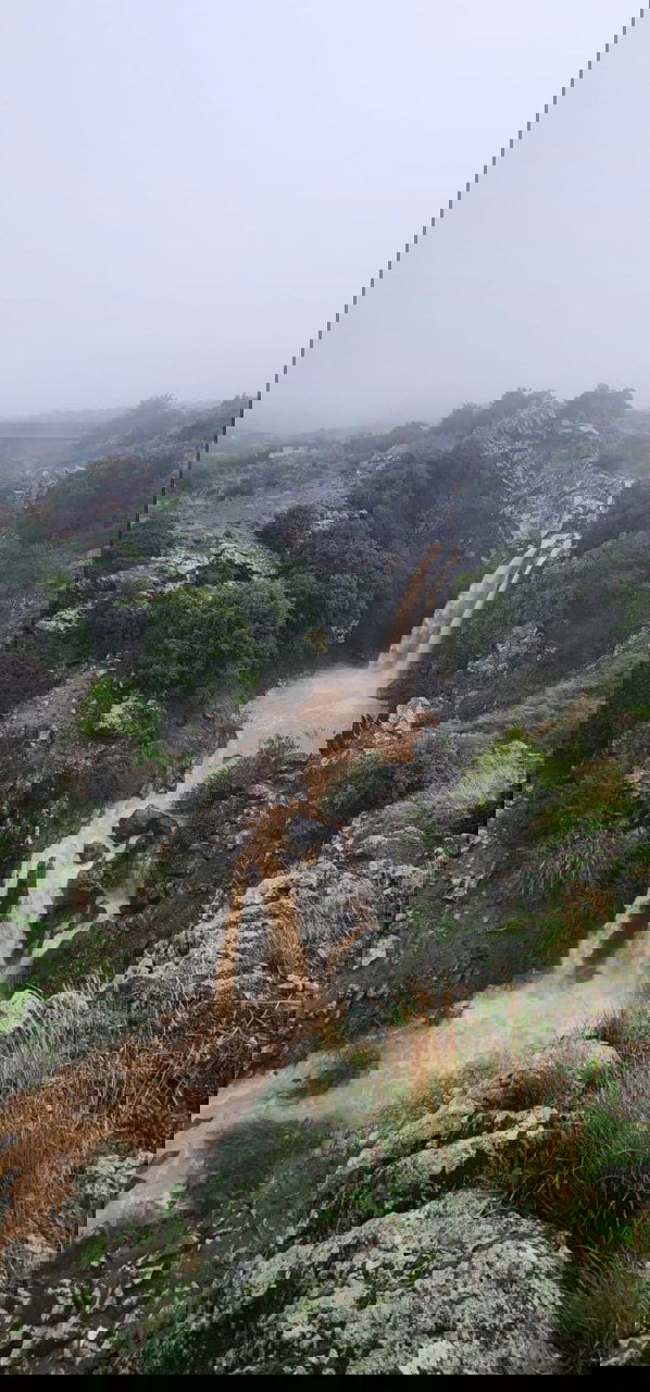 סער, חרוד ובניאס: נחלי הצפון שוצפים וזורמים • צפו