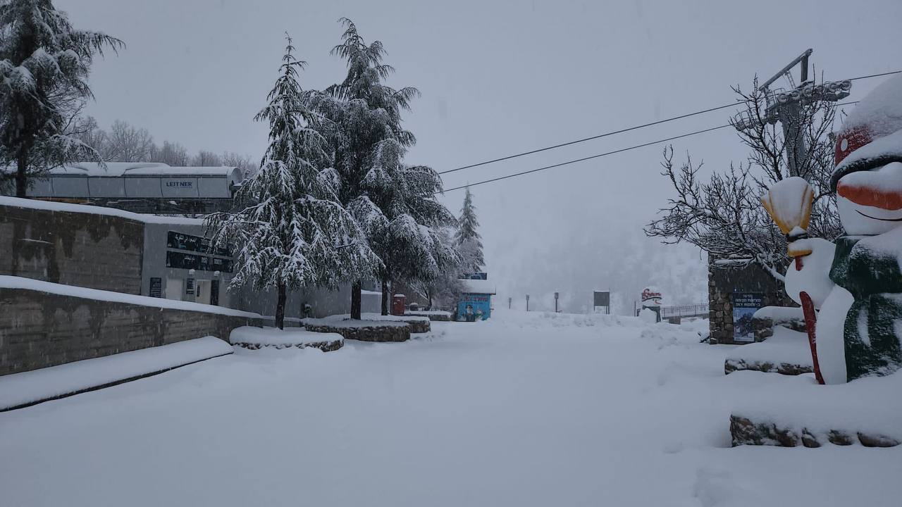 טוב, זה מדהים! 30 ס"מ שלג - בחרמון • צפו