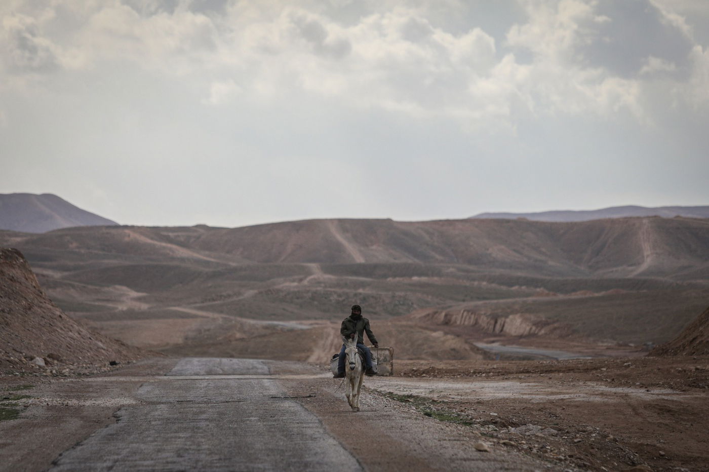 הגשם והפלסטיק הגיעו לגמלים במדבר יהודה | צפו בגלריה