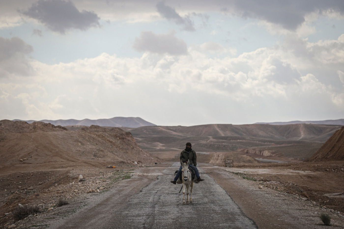 הגשם והפלסטיק הגיעו לגמלים במדבר יהודה | צפו בגלריה