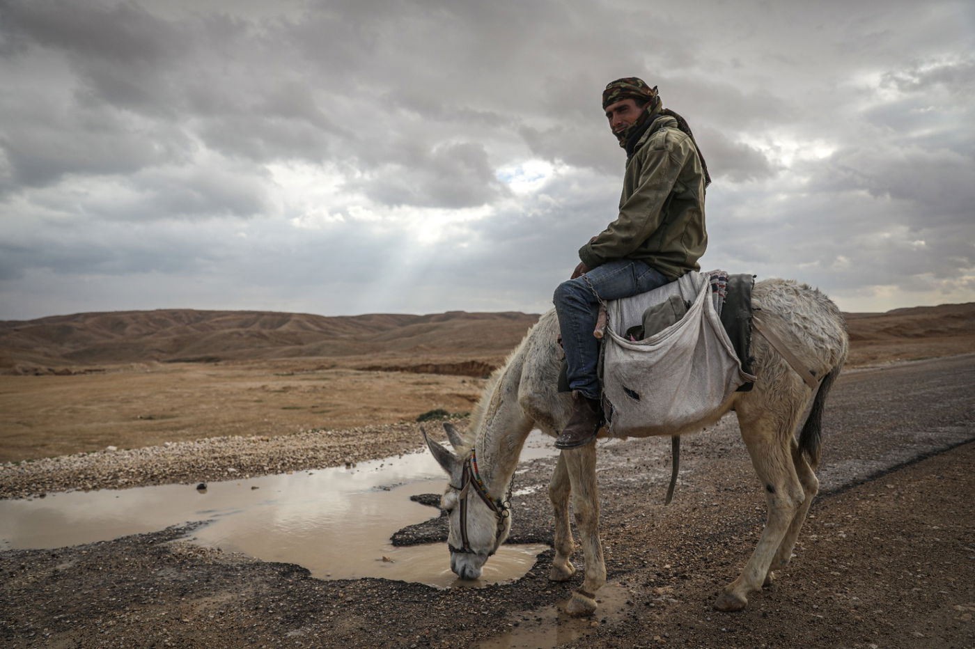 הגשם והפלסטיק הגיעו לגמלים במדבר יהודה | צפו בגלריה