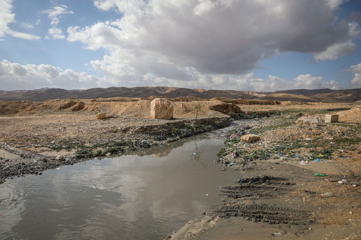 הגשם והפלסטיק הגיעו לגמלים במדבר יהודה | צפו בגלריה