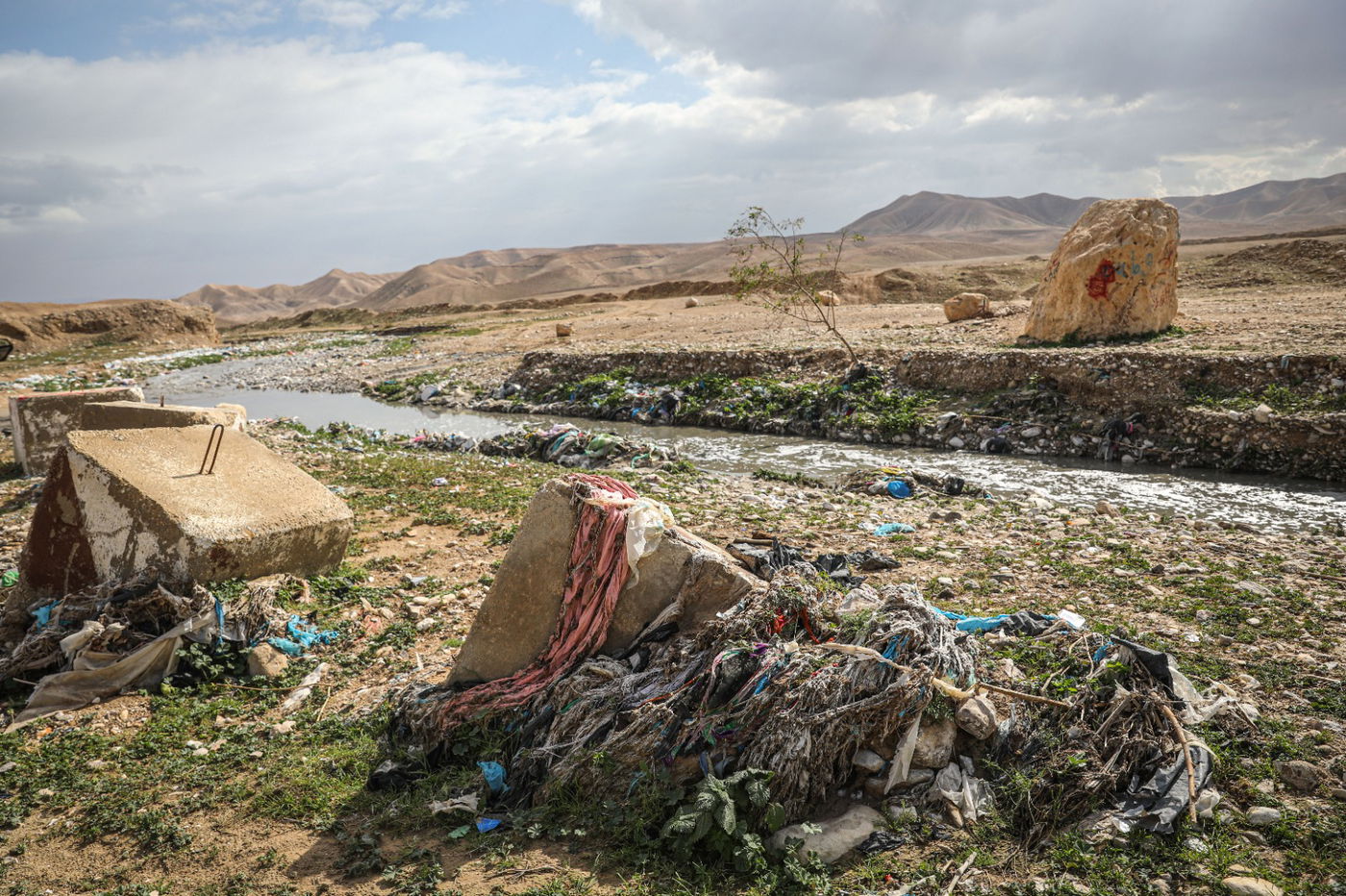 הגשם והפלסטיק הגיעו לגמלים במדבר יהודה | צפו בגלריה