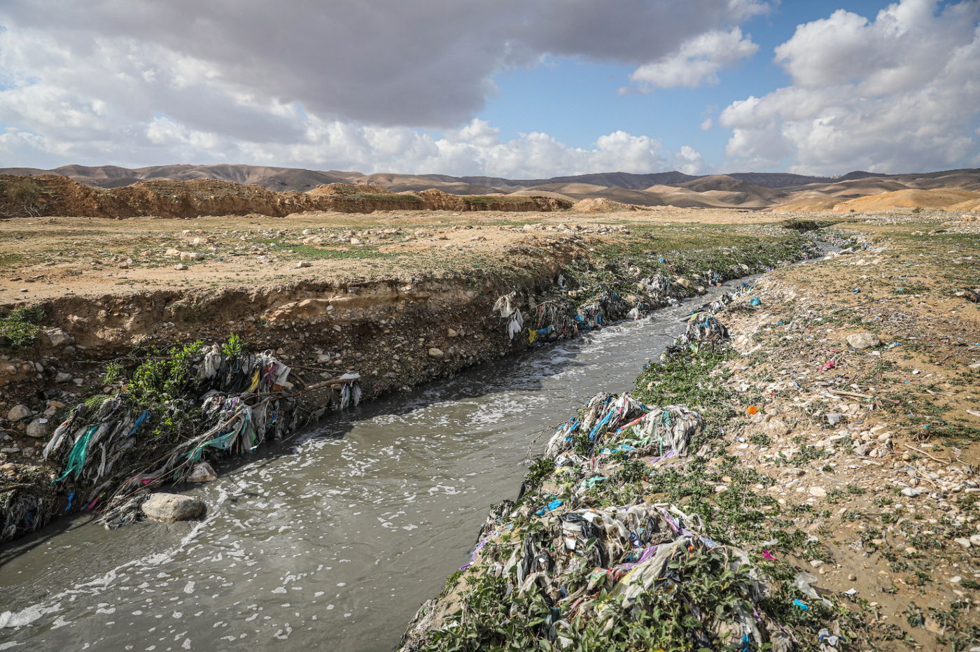 הגשם והפלסטיק הגיעו לגמלים במדבר יהודה | צפו בגלריה