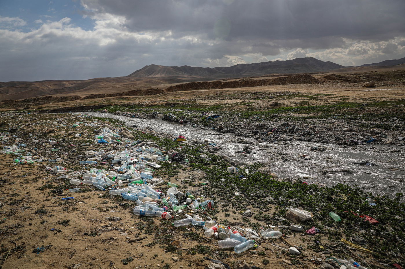 הגשם והפלסטיק הגיעו לגמלים במדבר יהודה | צפו בגלריה