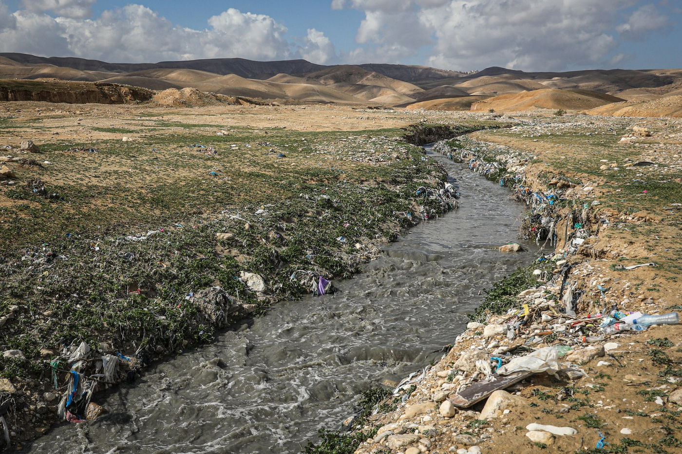 הגשם והפלסטיק הגיעו לגמלים במדבר יהודה | צפו בגלריה
