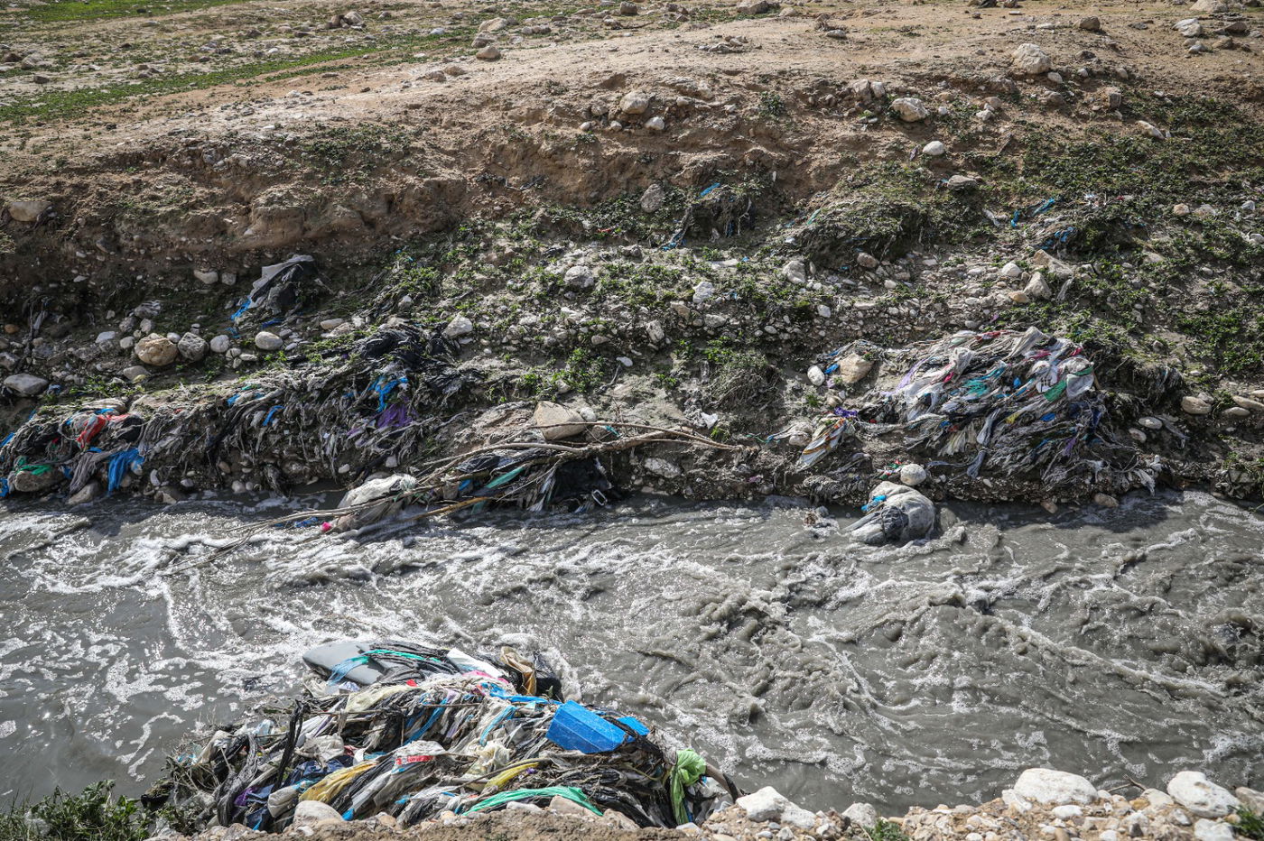הגשם והפלסטיק הגיעו לגמלים במדבר יהודה | צפו בגלריה