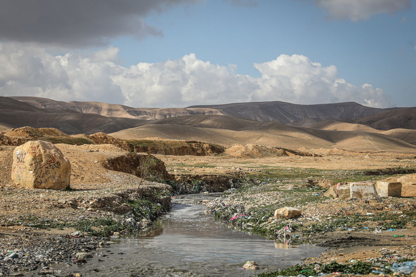 הגשם והפלסטיק הגיעו לגמלים במדבר יהודה | צפו בגלריה