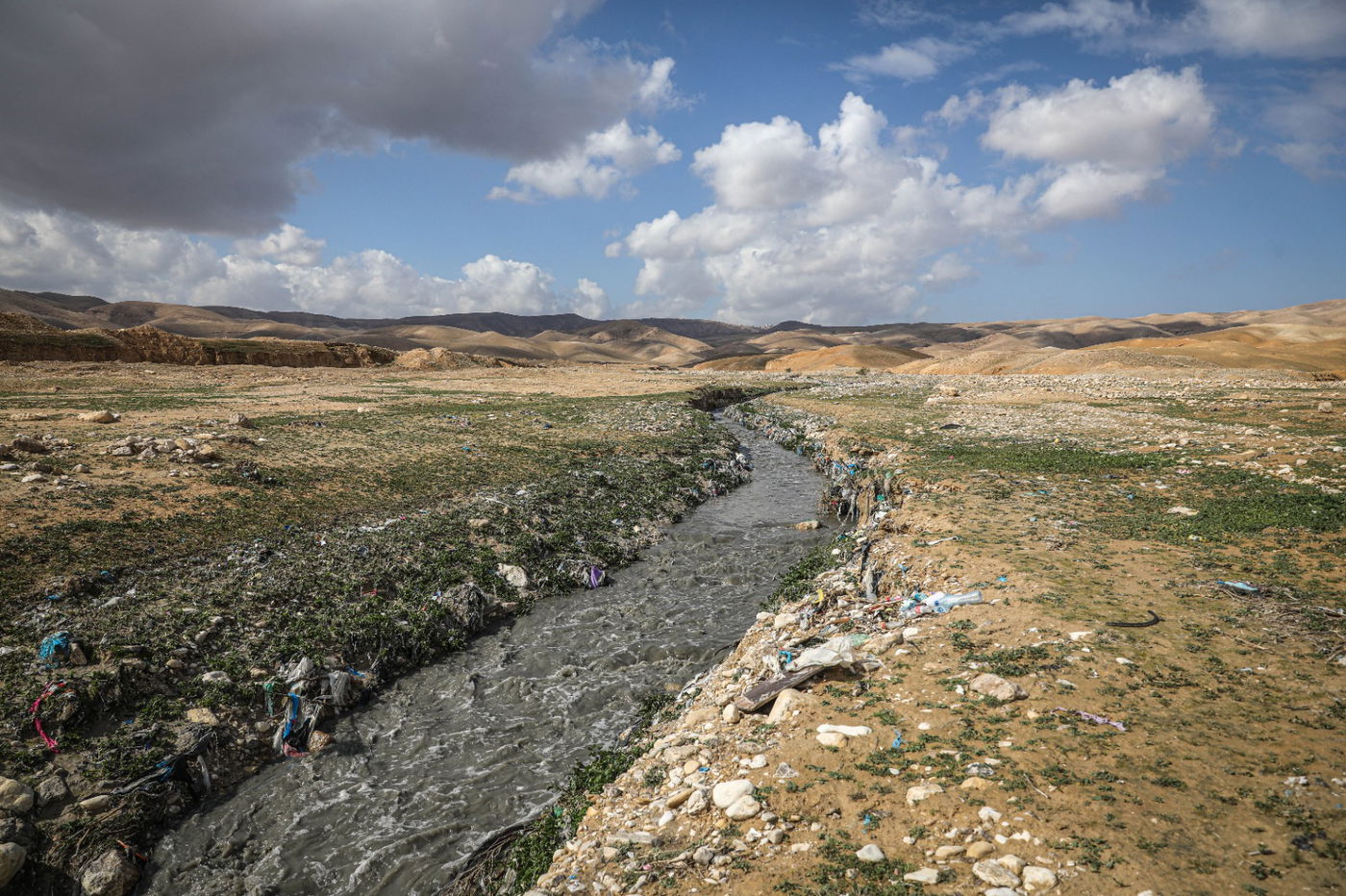 הגשם והפלסטיק הגיעו לגמלים במדבר יהודה | צפו בגלריה